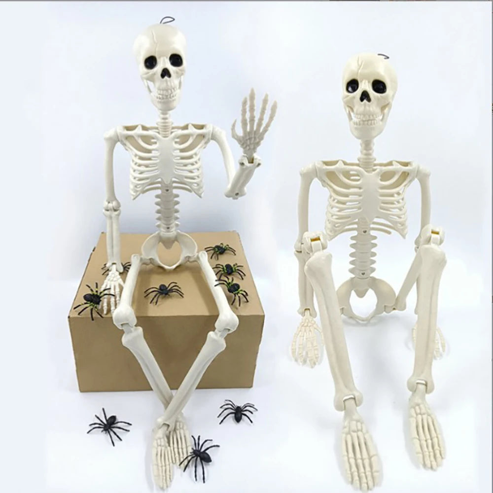 40cm Halloween Human Skeleton decoration