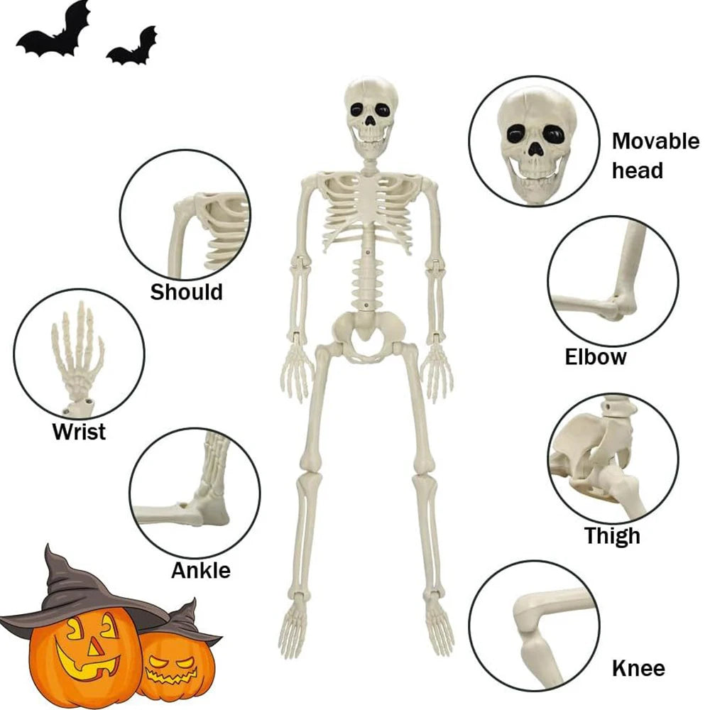 40cm Halloween Human Skeleton decoration