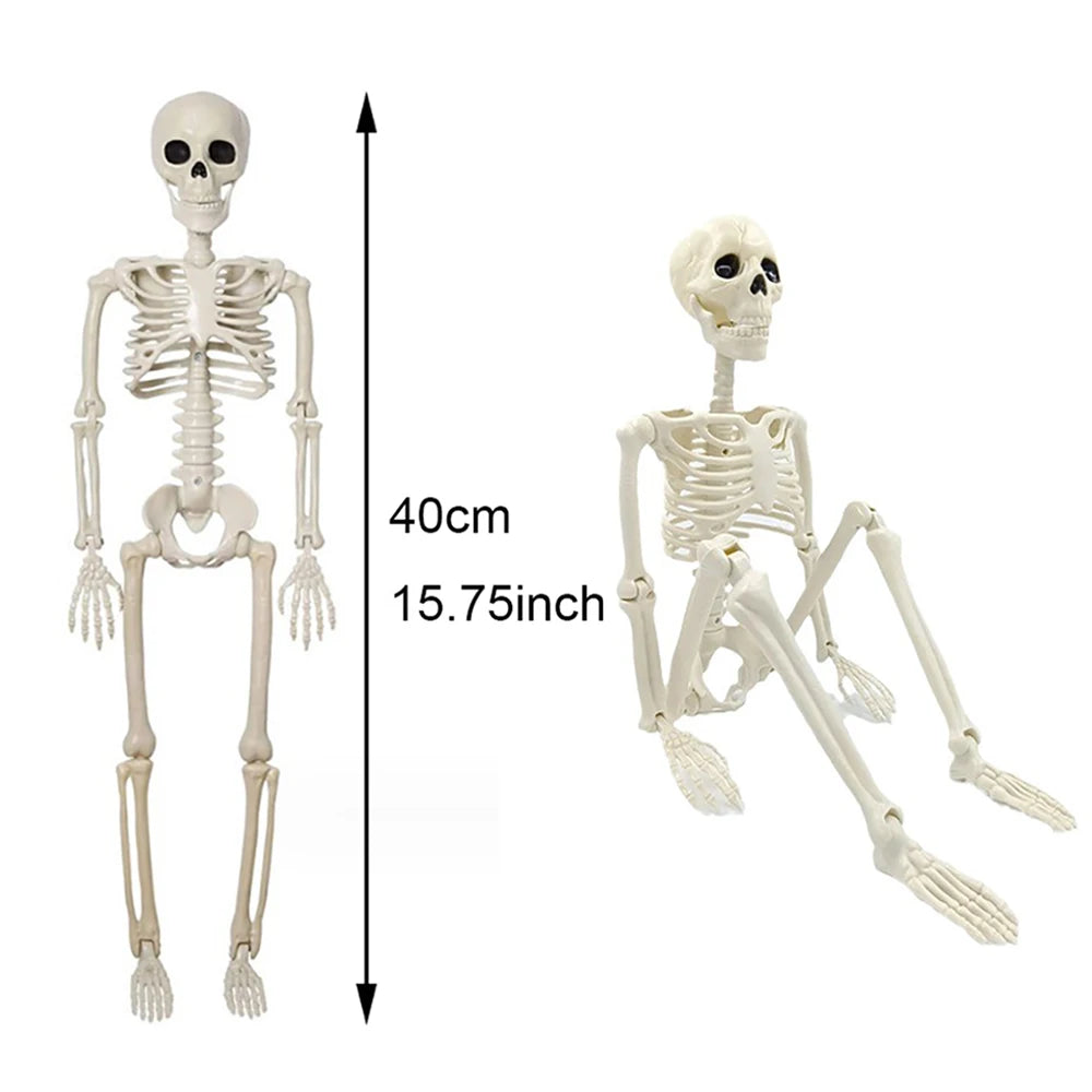 40cm Halloween Human Skeleton decoration
