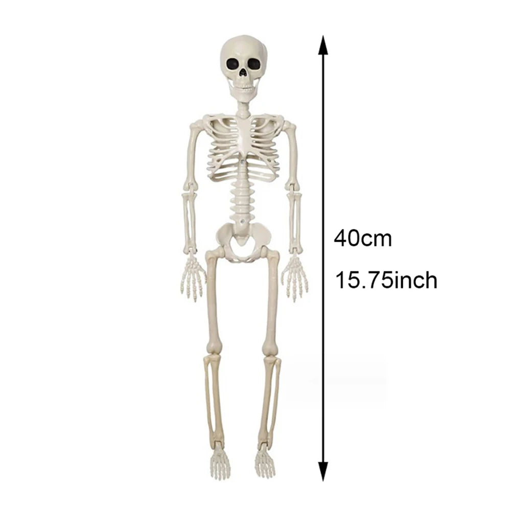 40cm Halloween Human Skeleton decoration