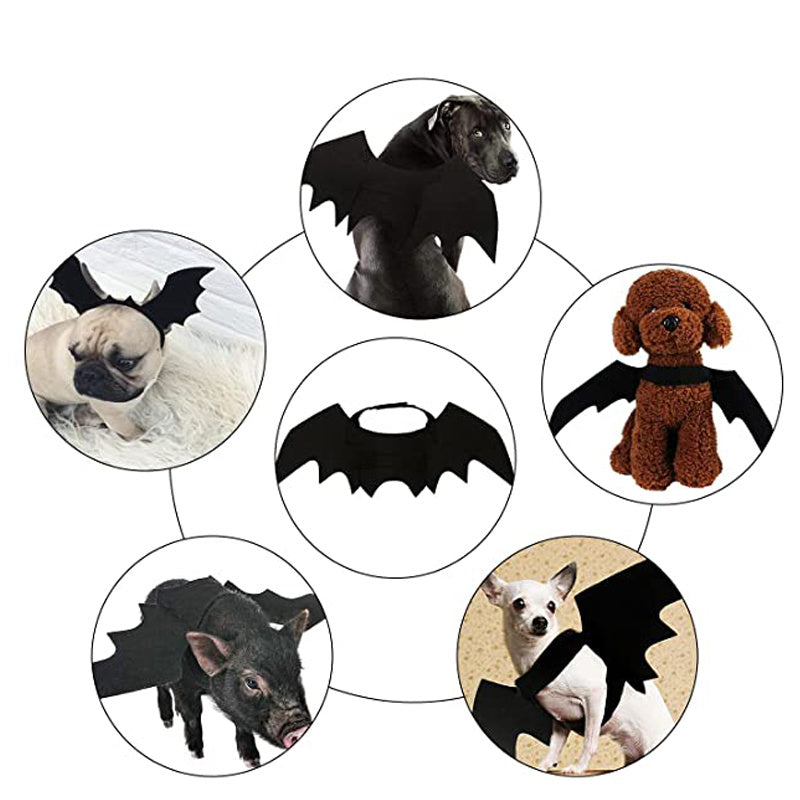Halloween cat & small dog costumes