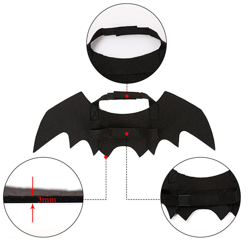 Halloween cat & small dog costumes