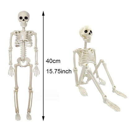 40cm Halloween Human Skeleton decoration