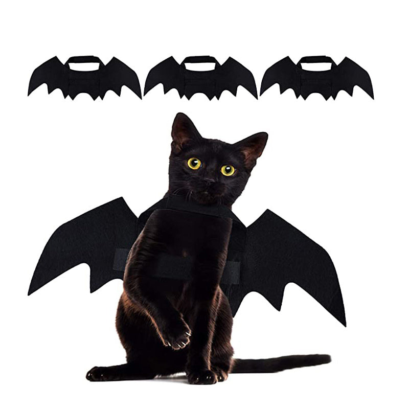 Halloween cat & small dog costumes