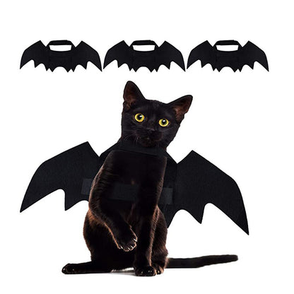 Halloween cat & small dog costumes